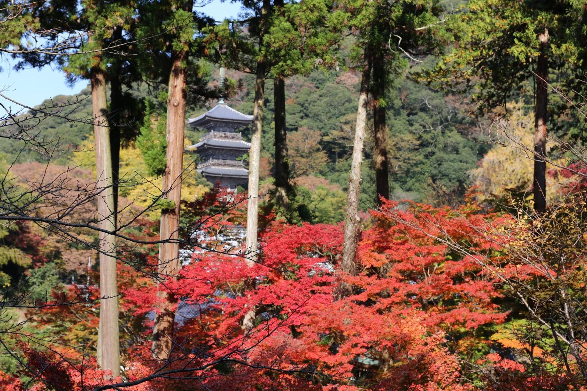 Hotel Ryokan Koyokan à Yasugi Extérieur photo