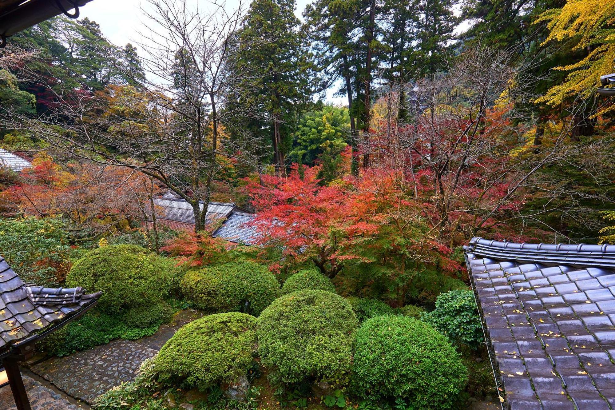 Hotel Ryokan Koyokan à Yasugi Extérieur photo